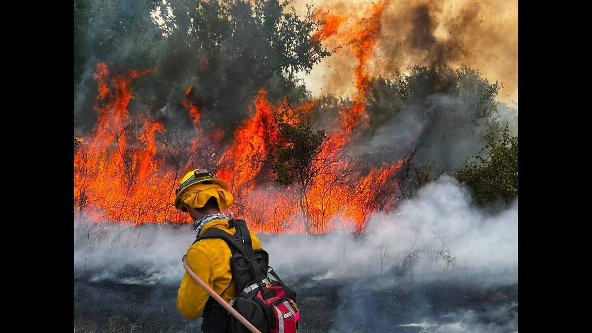 A North Richland Hills firefighter stands near burning vegetation amid efforts to put out the Ross Wildfire, which has burned more than 90,000 acres of land. A North Richland Hills firefighter stands near burning vegetation amid efforts to put out the Ross Wildfire, which has burned more than 90,000 acres of land.